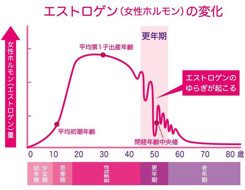 女性ホルモン（エストロゲン）の生涯変化を示す折れ線グラフ。思春期から性成熟期にかけて急増・ピークを迎え、更年期（45〜55歳頃）に『エストロゲンのゆらぎ』を起こしながら急激に減少する推移を図解（平均初潮年齢・平均第1子出産年齢・閉経年齢中央値を掲載）